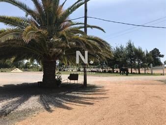 https://www.gallito.com.uy/ideal-para-inversion-inmuebles-25033648