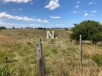 https://www.gallito.com.uy/campo-en-venta-de-10-hectareas-inmuebles-24987536