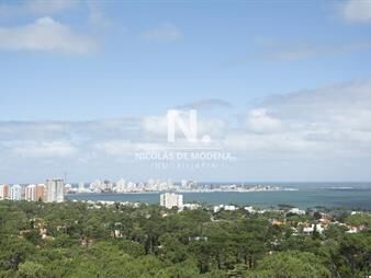 https://web5.gallito.com.uy/hermoso-departamento-en-venta-inmuebles-25034657