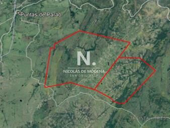 https://web5.gallito.com.uy/campo-ganadero-en-venta-inmuebles-25034620