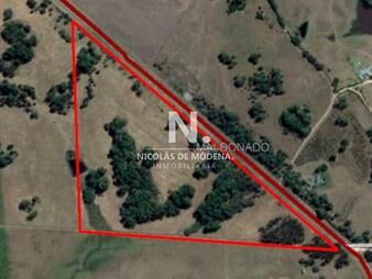 https://www.gallito.com.uy/campo-en-ruta-104-20-hectareas-inmuebles-24464308
