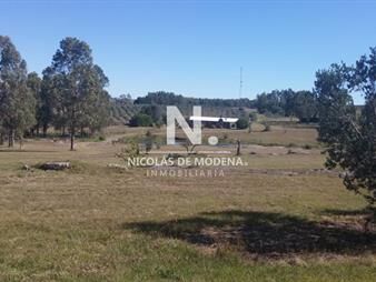 https://web5.gallito.com.uy/chacra-sobre-ruta-12-en-venta-inmuebles-24987589