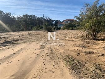 https://web5.gallito.com.uy/terreno-en-venta-en-la-barra-maldonado-inmuebles-25004834
