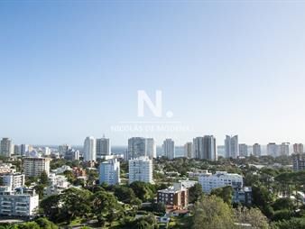 https://web5.gallito.com.uy/departamento-de-1-dormitorio-y-medio-en-punta-del-inmuebles-25034387