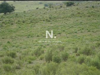 https://web5.gallito.com.uy/campo-de-95has-inmuebles-25034766