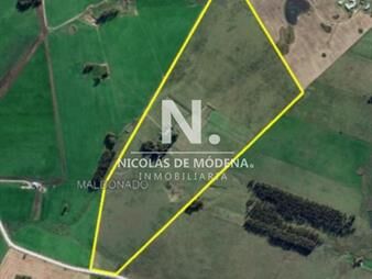 https://www.gallito.com.uy/campo-en-manantiales-inmuebles-25035719