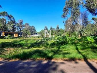 https://web5.gallito.com.uy/vende-terreno-en-golf-punta-del-este-inmuebles-26945776