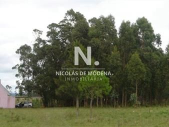 https://www.gallito.com.uy/en-venta-enorme-terreno-en-barrio-camino-inmuebles-25040522