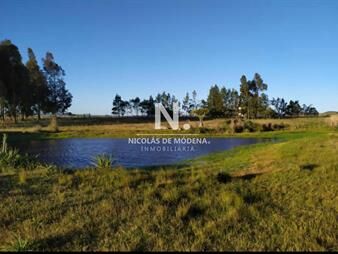 https://web5.gallito.com.uy/campo-de-5-hectareas-en-venta-inmuebles-25034367