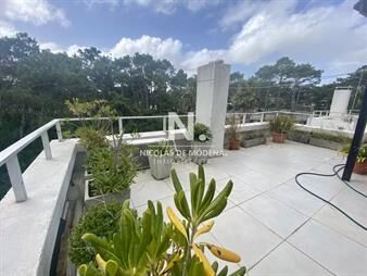 https://web5.gallito.com.uy/apartamento-de-3-dormitorios-penthouse-con-punta-inmuebles-25032763