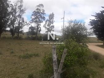 https://web5.gallito.com.uy/campo-de-12-has-en-paraje-jose-ignacio-consulte-inmuebles-25033639