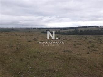 https://web5.gallito.com.uy/campo-de-47-has-en-paraje-los-caracoles-inmuebles-25033634
