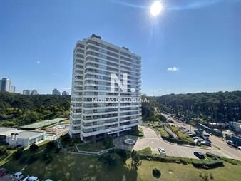 https://web5.gallito.com.uy/excelente-apartamento-en-playa-brava-inmuebles-26278979