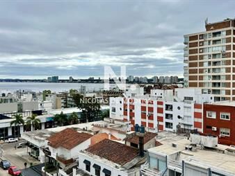 https://web5.gallito.com.uy/departamento-zona-peninsula-1-dormitorio-inmuebles-25033367