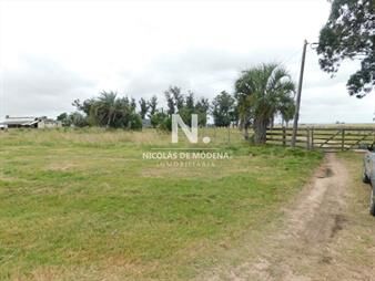 https://www.gallito.com.uy/campo-en-maldonado-ruta-9-inmuebles-24466973
