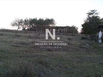 https://www.gallito.com.uy/campo-proximo-a-ruta-12-inmuebles-25034132