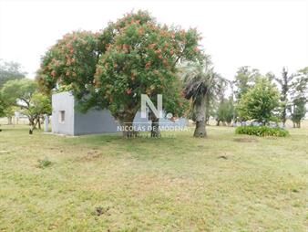 https://web5.gallito.com.uy/campo-chacra-en-venta-entrada-de-pueblo-inmuebles-24987336