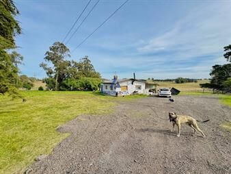 https://www.gallito.com.uy/campo-en-venta-5has-sobre-ruta-9-inmuebles-27695695