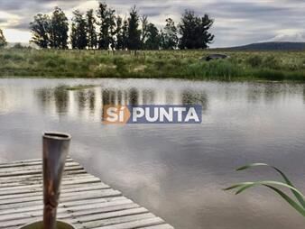 https://www.gallito.com.uy/chacra-de-5-hectareas-en-pueblo-eden-inmuebles-27771045