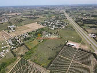 https://www.gallito.com.uy/terrenos-suburbanos-frente-a-ruta-5-conjunto-de-inmuebles-27595763