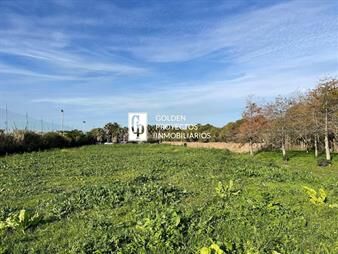 https://web5.gallito.com.uy/terreno-en-venta-18-ha-carrasco-prox-polo-inmuebles-26288223