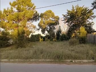 https://www.gallito.com.uy/venta-terreno-en-el-pinar-inmuebles-25553327