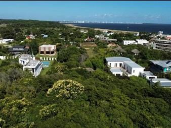 https://web5.gallito.com.uy/terreno-en-punta-ballena-inmuebles-27125018