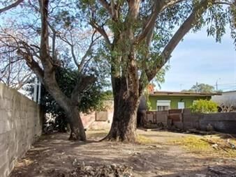 https://web5.gallito.com.uy/terreno-de-650-m-alberto-zum-felde-esq-godoy-inmuebles-27771275