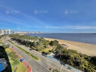 https://web5.gallito.com.uy/paramount-tower-punta-del-este-venta-de-de-3-inmuebles-27771835