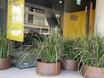 https://web5.gallito.com.uy/departamento-centro-montevideo-inmuebles-27772023