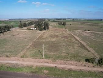 https://web5.gallito.com.uy/campo-de-12-ha-en-venta-sobre-ruta-2-inmuebles-27756964