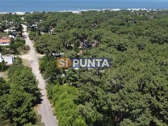 https://web5.gallito.com.uy/oportunidad-terreno-en-venta-montoya-la-barra-inmuebles-27775305