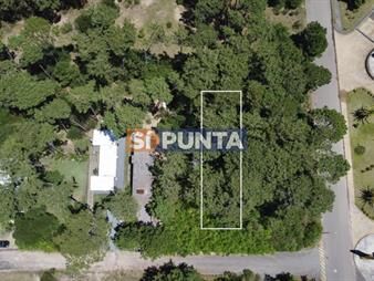 https://web5.gallito.com.uy/terreno-en-montoya-a-450mts-del-mar-504m2-inmuebles-27775306