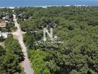 https://web5.gallito.com.uy/oportunidad-terreno-en-venta-montoya-la-barra-inmuebles-27363188