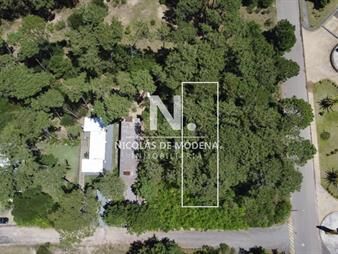 https://web5.gallito.com.uy/terreno-en-montoya-a-450mts-del-mar-504m2-inmuebles-27363189