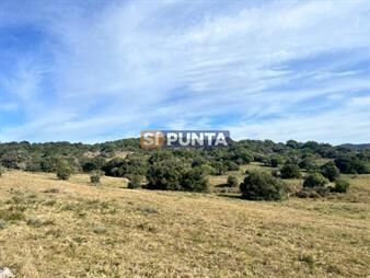 https://web5.gallito.com.uy/chacra-de-5-has-en-venta-inmuebles-27608262