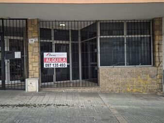 https://web5.gallito.com.uy/local-o-vivienda-constituyente-1916-y-eduardo-acevedo-inmuebles-27732218