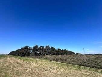 https://web5.gallito.com.uy/venta-campo-en-ruta-1-kilometro-16-inmuebles-27754410