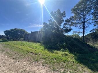 https://web5.gallito.com.uy/venta-de-campo-en-camino-garces-y-ruta-1-inmuebles-27754444