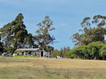 https://web5.gallito.com.uy/chacra-en-venta-ruta-9-5-hectareas-inmuebles-27695264