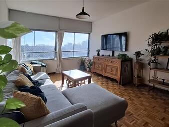https://www.gallito.com.uy/alquiler-de-apartamento-dos-dormitorios-en-el-centro-inmuebles-27702838