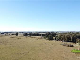 https://web5.gallito.com.uy/venta-de-campo-con-casa-en-maldonado-abra-inmuebles-27786326