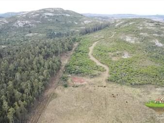 https://www.gallito.com.uy/venta-de-campo-de-25-ha-en-inmuebles-27786328