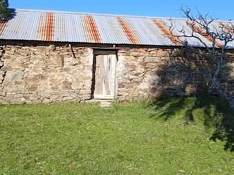 https://www.gallito.com.uy/campo-en-rocha-hacia-ruta-15-inmuebles-27786872