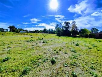 https://www.gallito.com.uy/venta-de-terrenos-en-colonia-valdense-inmuebles-27786908