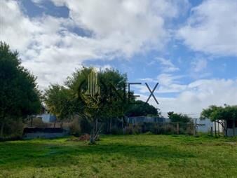 https://web5.gallito.com.uy/en-venta-terreno-en-balneario-buenos-aires-inmuebles-27786702