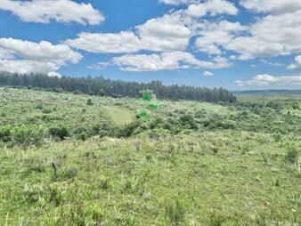 https://www.gallito.com.uy/excelente-chacra-11-hectareas-pueblo-eden-inmuebles-27787611