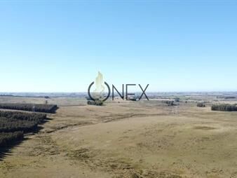 https://web5.gallito.com.uy/venta-de-campo-de-103-has-partido-norte-inmuebles-27793197