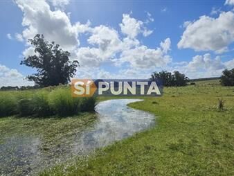 https://web5.gallito.com.uy/venta-de-chacra-de-9-hs-en-jose-ignacio-punta-inmuebles-27608224