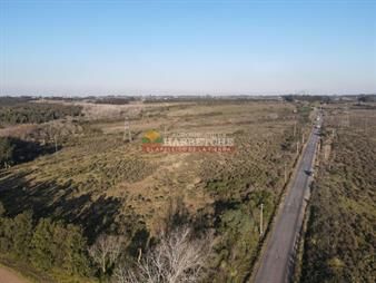 https://www.gallito.com.uy/chacra-de-5-has-en-melilla-sobre-camino-ah-7323-inmuebles-25816972